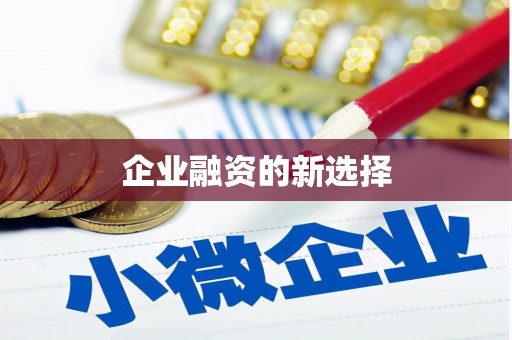 衡东企业融资的新选择