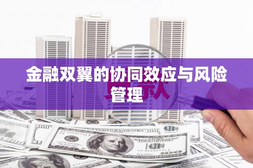 衡东金融双翼的协同效应与风险管理