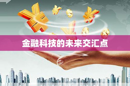 衡东金融科技的未来交汇点