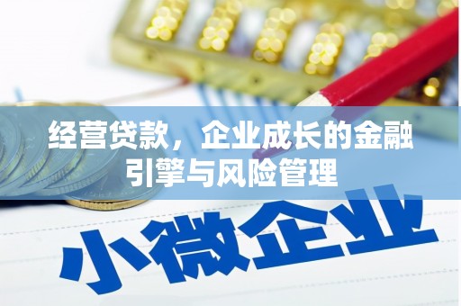 衡东经营贷款，企业成长的金融引擎与风险管理