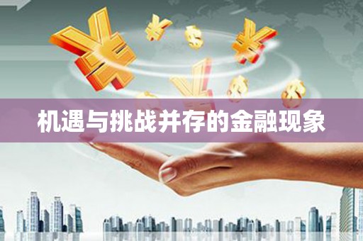 衡东机遇与挑战并存的金融现象