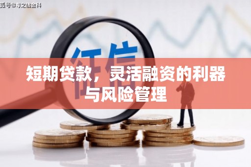 衡东短期贷款，灵活融资的利器与风险管理