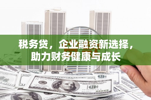 衡东税务贷，企业融资新选择，助力财务健康与成长