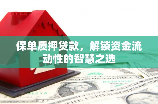 衡东保单质押贷款，解锁资金流动性的智慧之选