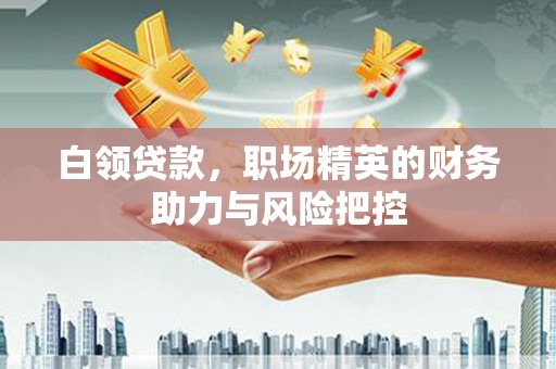 衡东白领贷款，职场精英的财务助力与风险把控